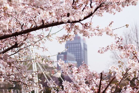 刀剑笑新传之宝鉴